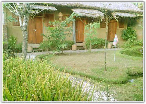גילי טרוונגן Baleku Homestay Trawangan מראה חיצוני תמונה